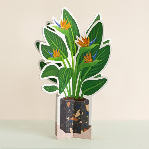 Birds of Paradise Paper Plant 1